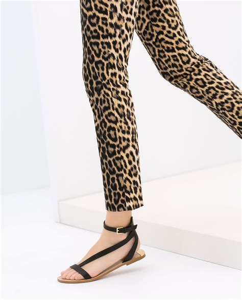 leopard print pants zara.